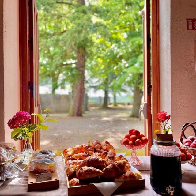 ⚡Retour en image sur notre premier événement "Brunch" pour l'occasion de @bienvenue_en_beaujonomie , où dégustation des produits locaux et de nos cuvées étaient au rendez-vous.⚡

C'est toujours un plaisir de partager notre passion avec vous autour d'animations et d'échanges sur notre histoire.🍇

📆Rendez-vous l'année prochaine pour partager de nouveau un moment convivial tous ensemble !
@bienvenue_en_beaujonomie 
----------------------------------------———————

A look back at our first 'Brunch' event for the occasion of @bienvenue_en_beaujonomie, where tasting local products and our vintages was on the agenda.⚡

It's always a pleasure to share our passion with you through activities and discussions about our history.🍇

📆See you next year to share another friendly moment together!